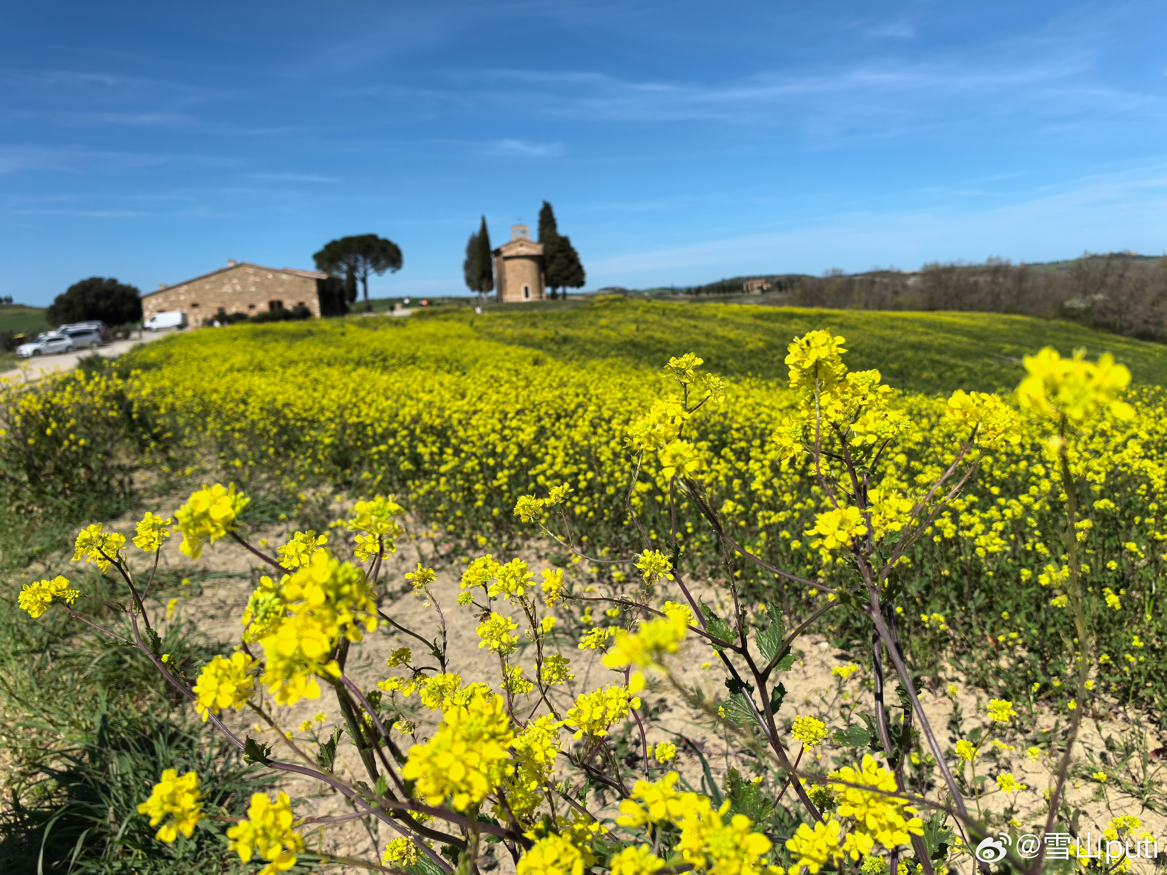 春天，春光，春色，旅行大巴恰如游船，行走在 绿色的海洋里。会醉春吗？会的，如眼前