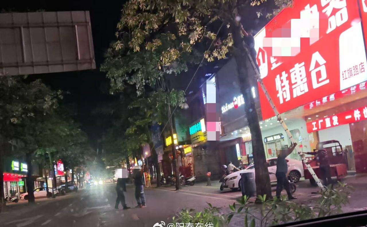 阳春多名男子深夜砍伐绿化树，身份成谜？
图片
3月16日晚，阳春市区红旗路步行街