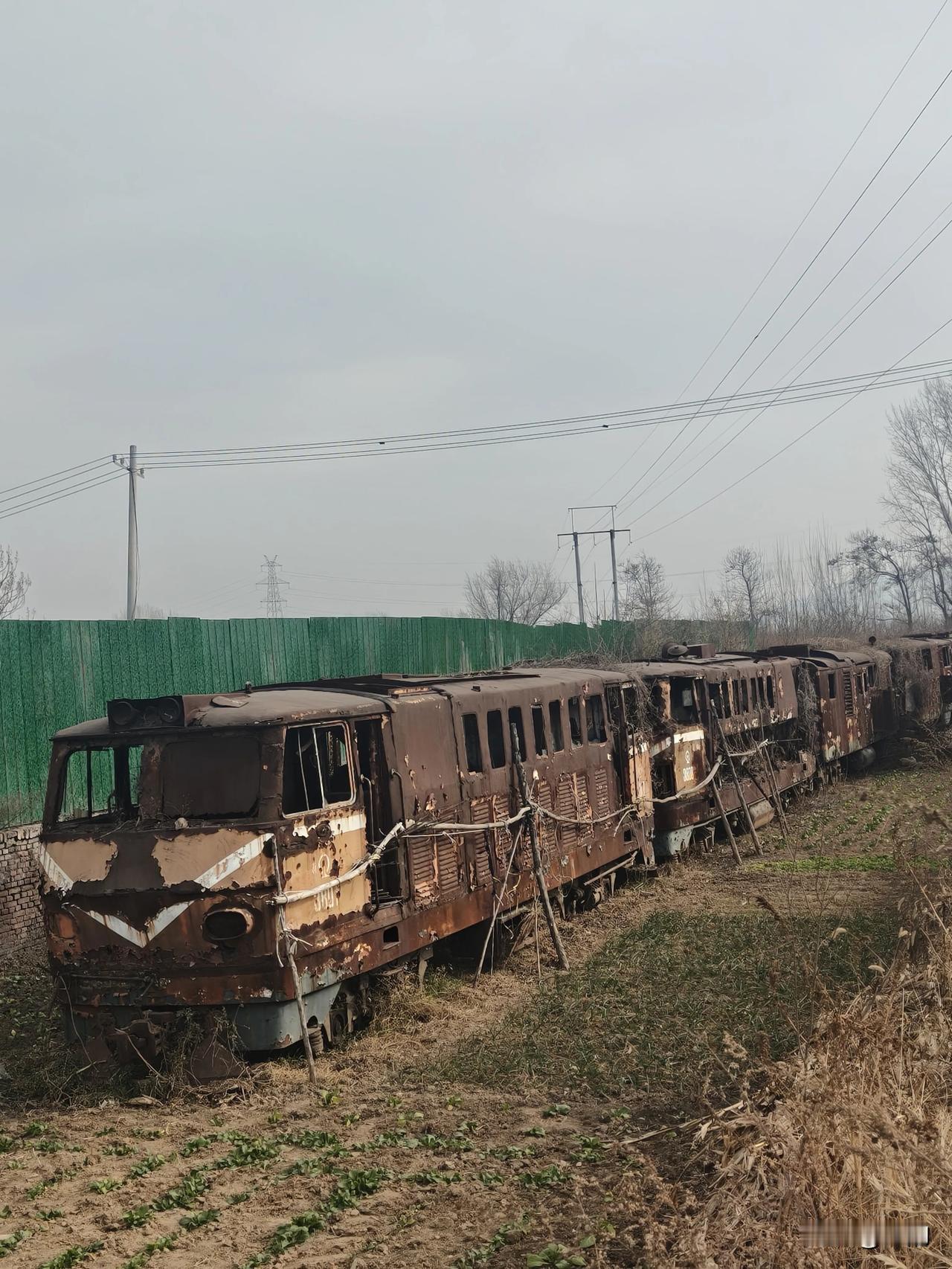 它们曾载着无数故事穿越山海，如今却在郊野里，慢慢被岁月氧化成标本。

在郊外的荒