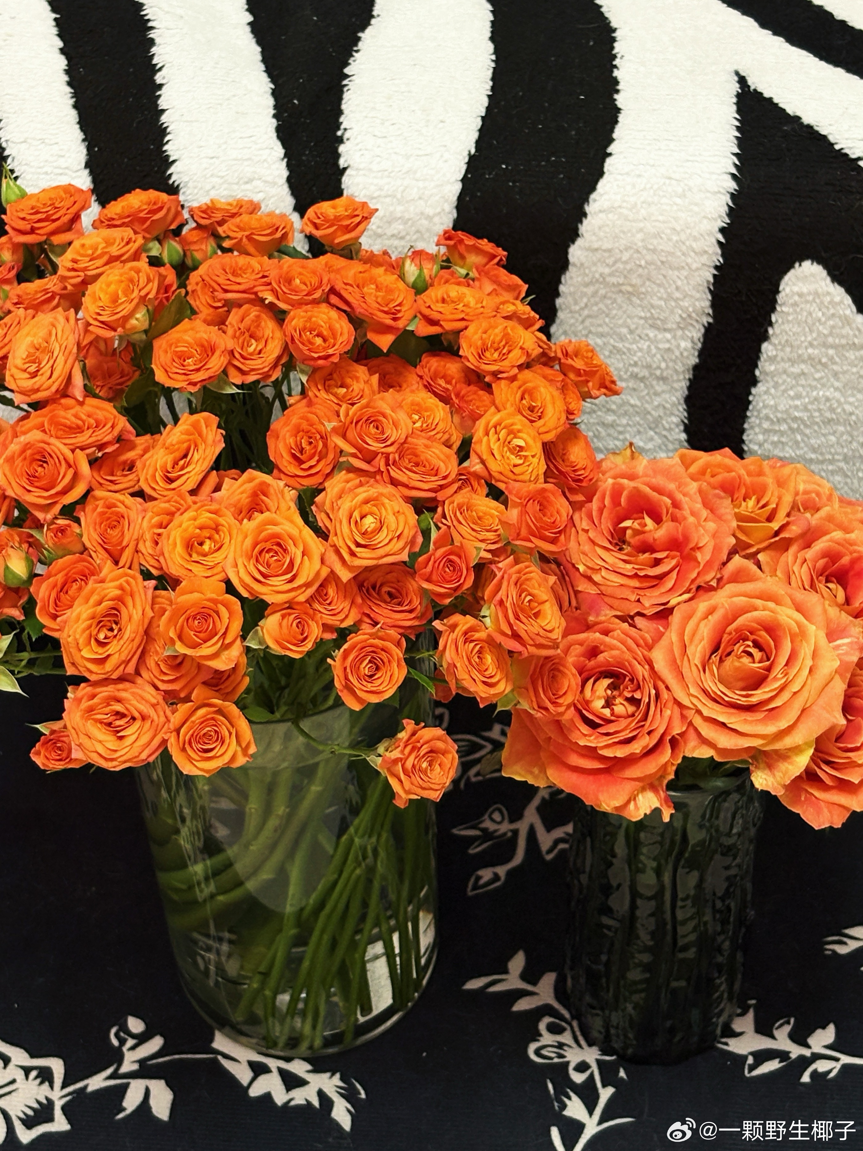 记录花花🌼 ​​​