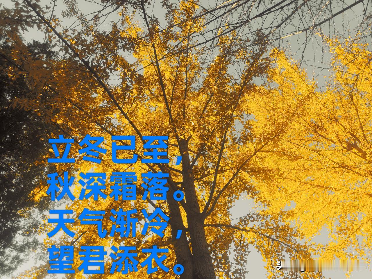 今天是24节气中的立冬，也是冬天的第一个节气。京城今天的天气秋雨蒙蒙。俗话说，一