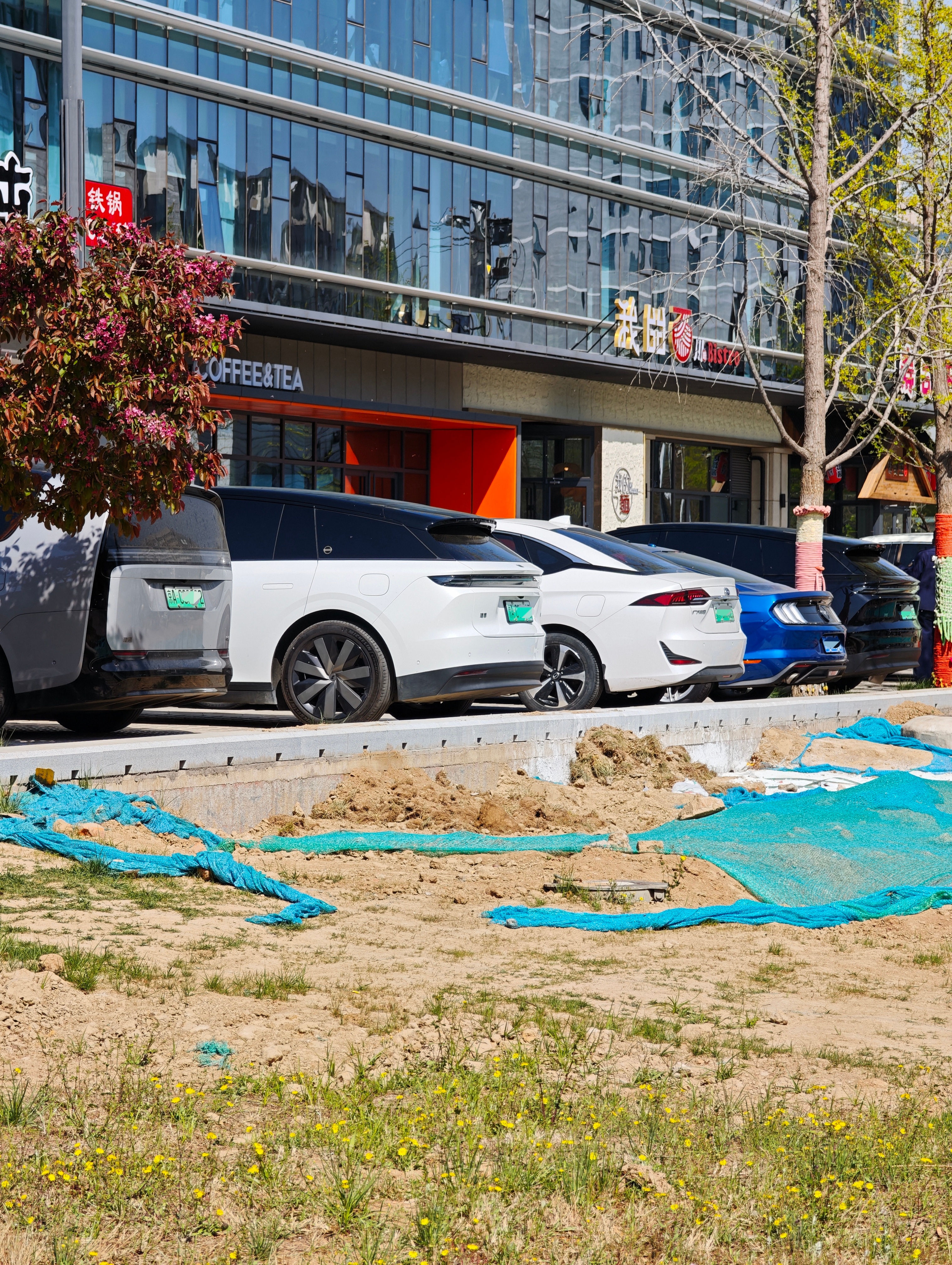 现在理想i6能见度极高我觉得这个月理想i6的销量应该会超越理想L6的巅峰销量，接