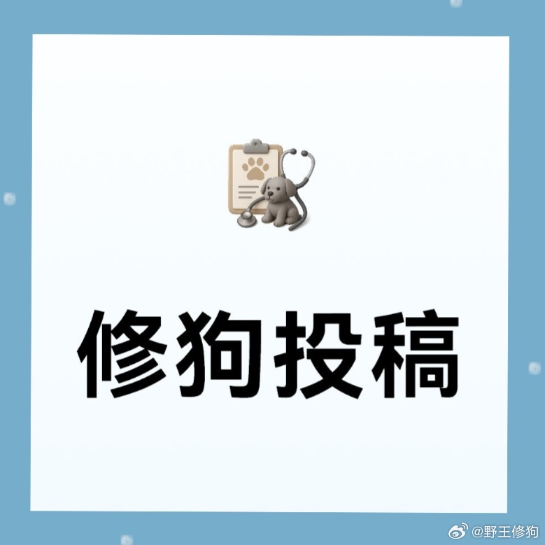 修狗投稿 【投稿】我上哪去找又看kpl又看韩🐟的，我感觉我们kpl有自己的nc