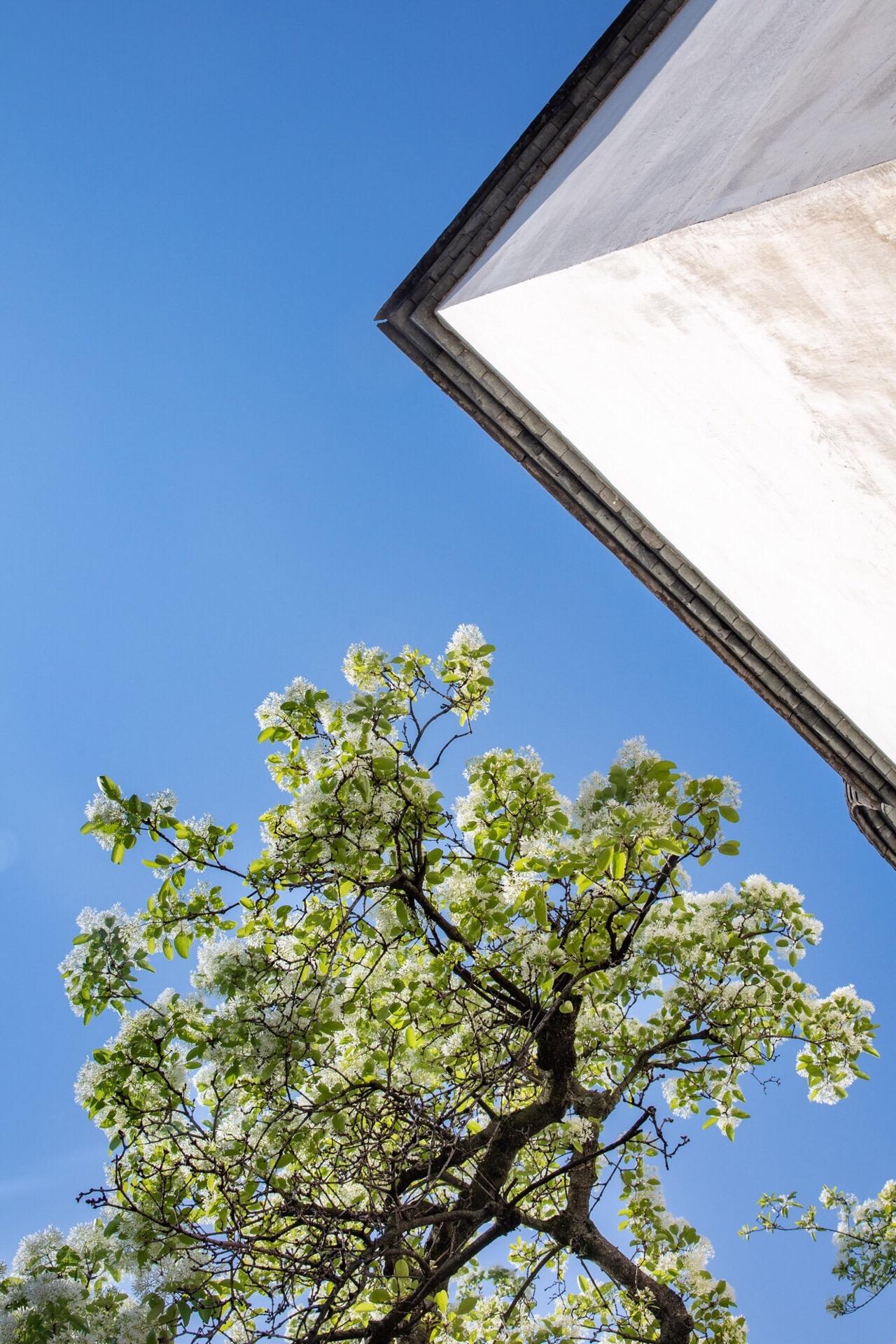 有人说，流苏是春天遗落的云朵。
在三坊七巷的檐下，它们不再是飘零的浮云，而是与青