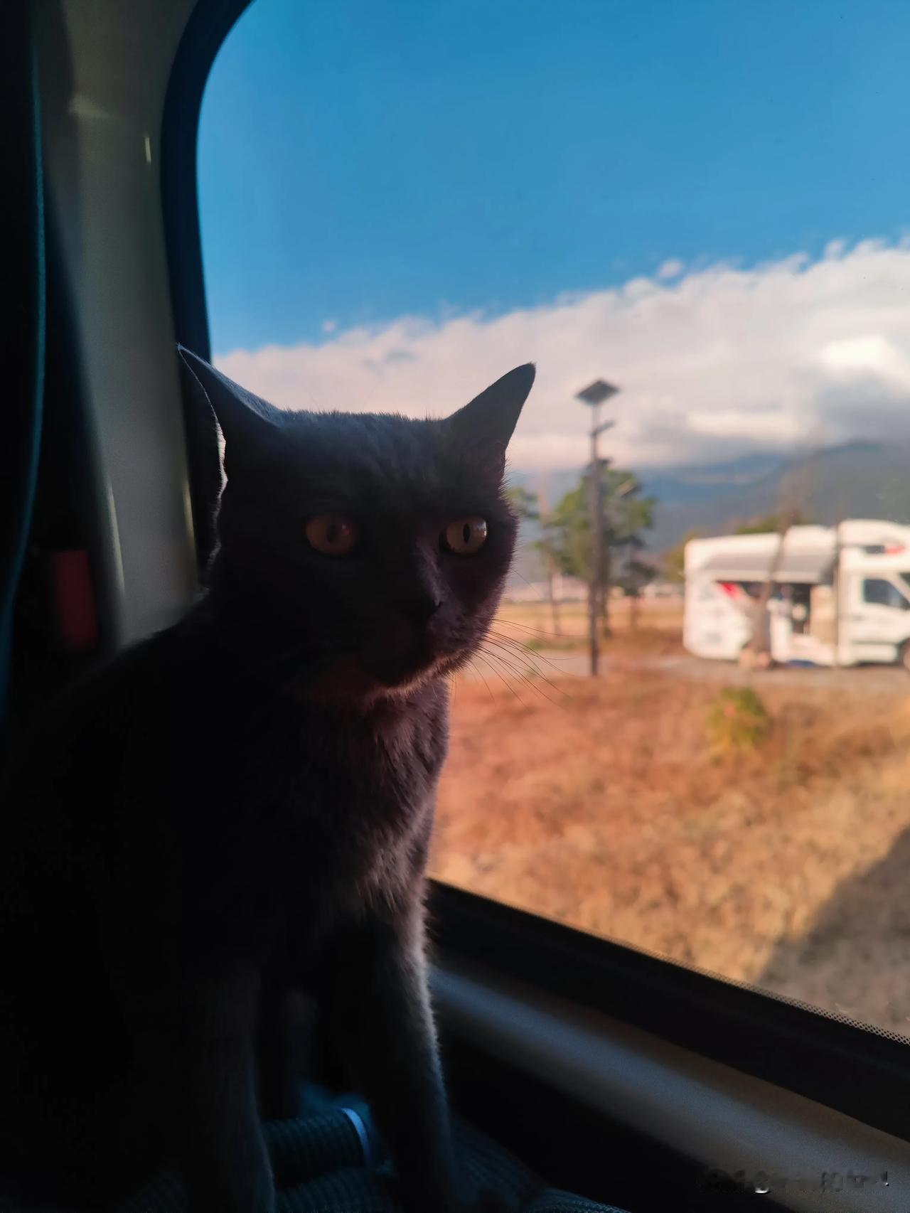 尤其是今年到西藏旅行就能发现，阳过之后，体质还是差了好多，高原地区明显肺部呼吸不