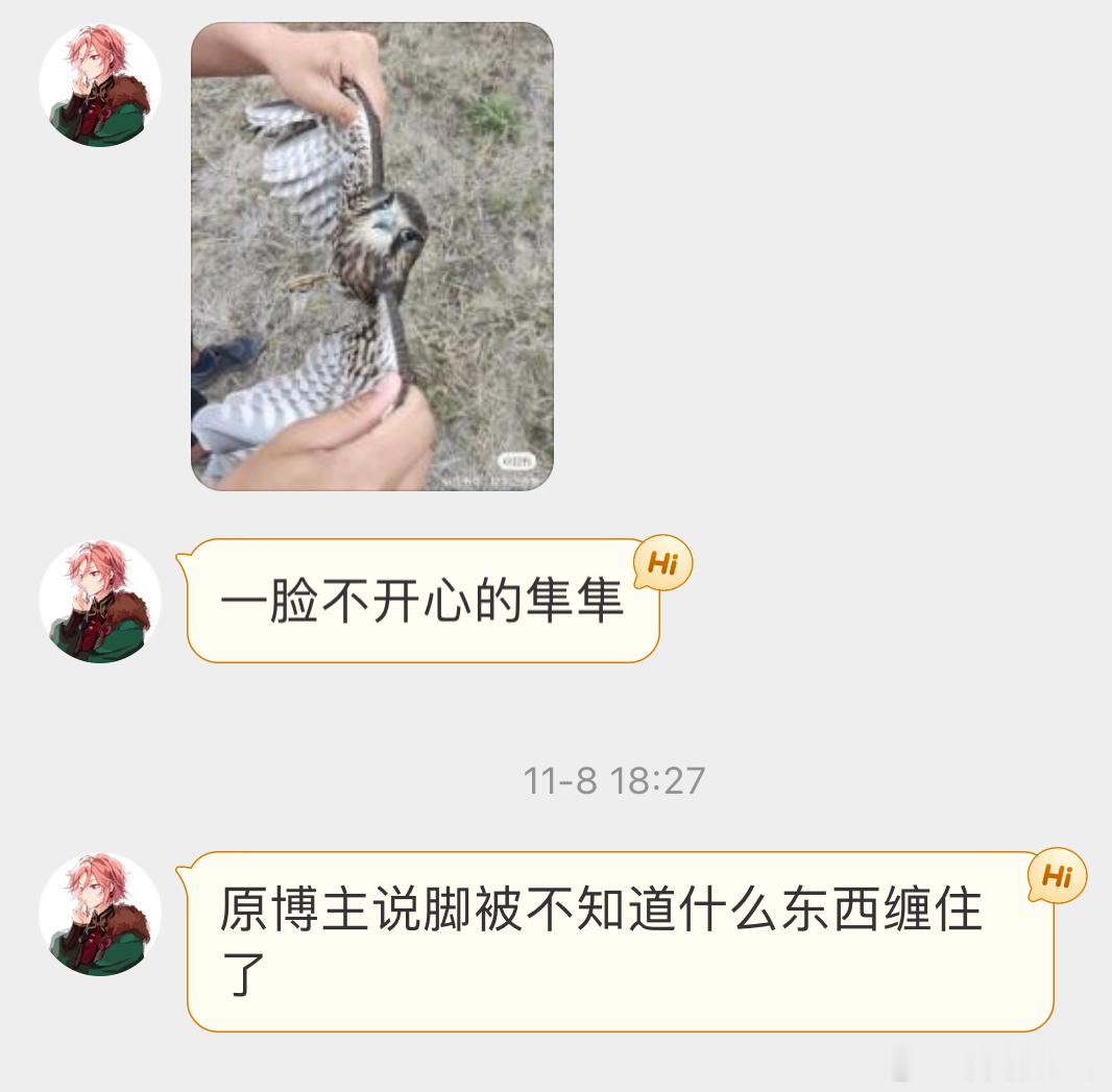 被绳子缠住的【红隼】好无助的宝宝 ​​​