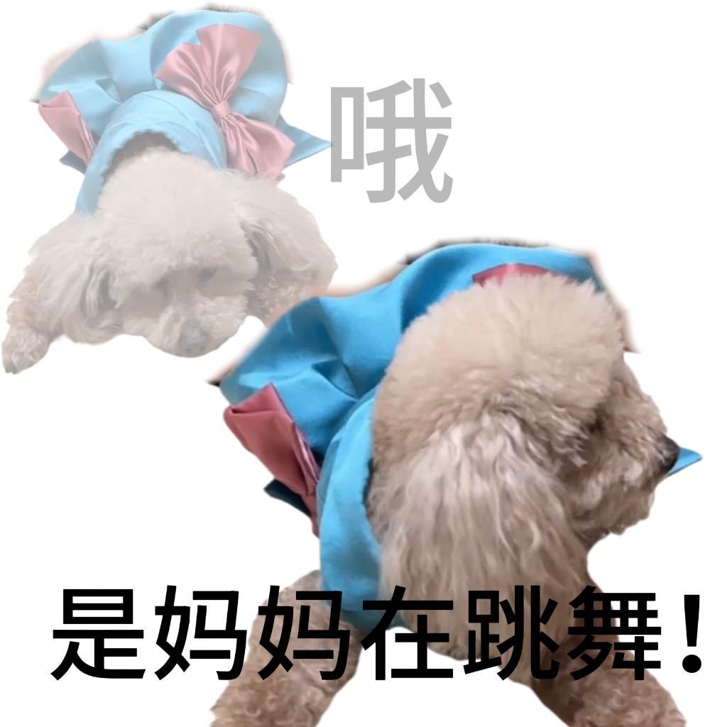 #蔡文静为浪姐初舞台专门缝制衣服#  蔡姐为浪姐初舞台精心缝制衣物，还懂得变废为