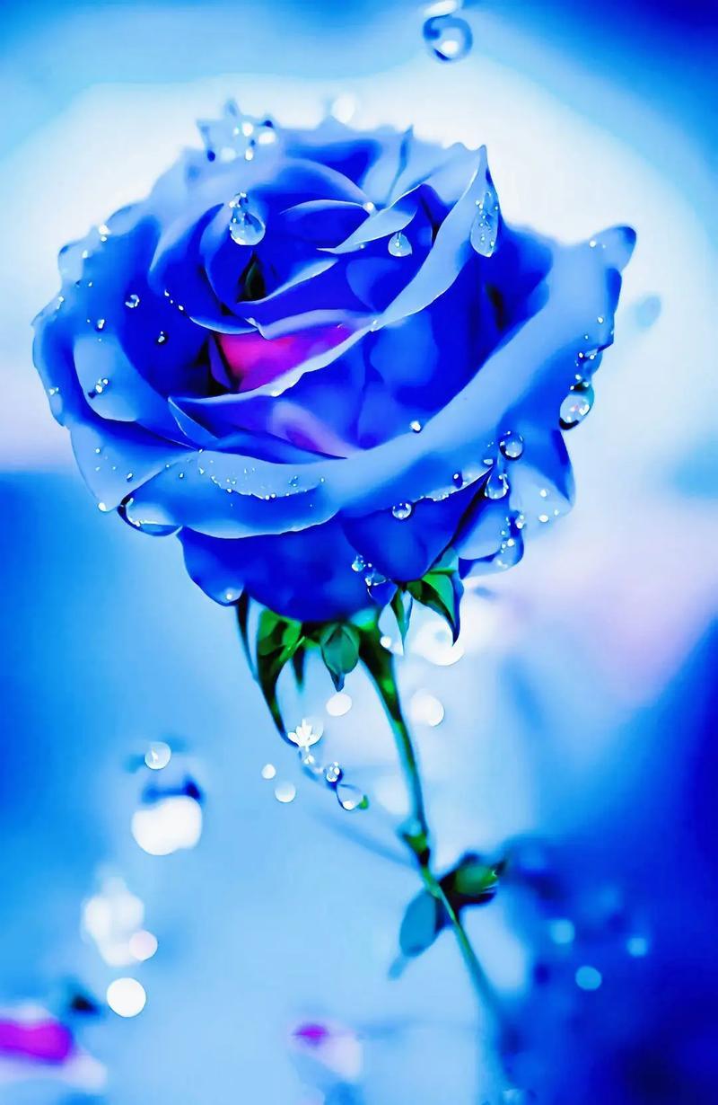 我发现个特有意思的现象：
人一旦兜里有钱了，
连脾气都变好了。

我楼下快递站有