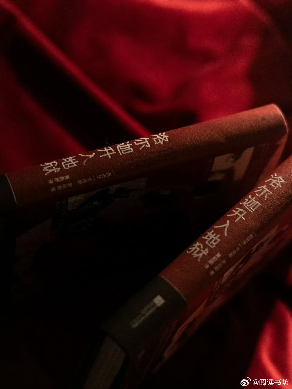 这本书后劲儿太大了我的私人宝藏书单书评 📚《洛尔迦升入地狱》出版社： 出品方：