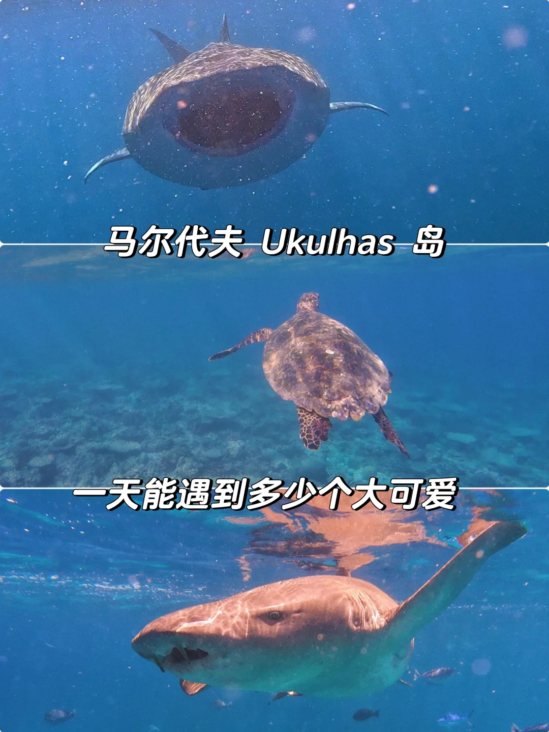 大疆Action4拍得有点模糊，但却超有感觉