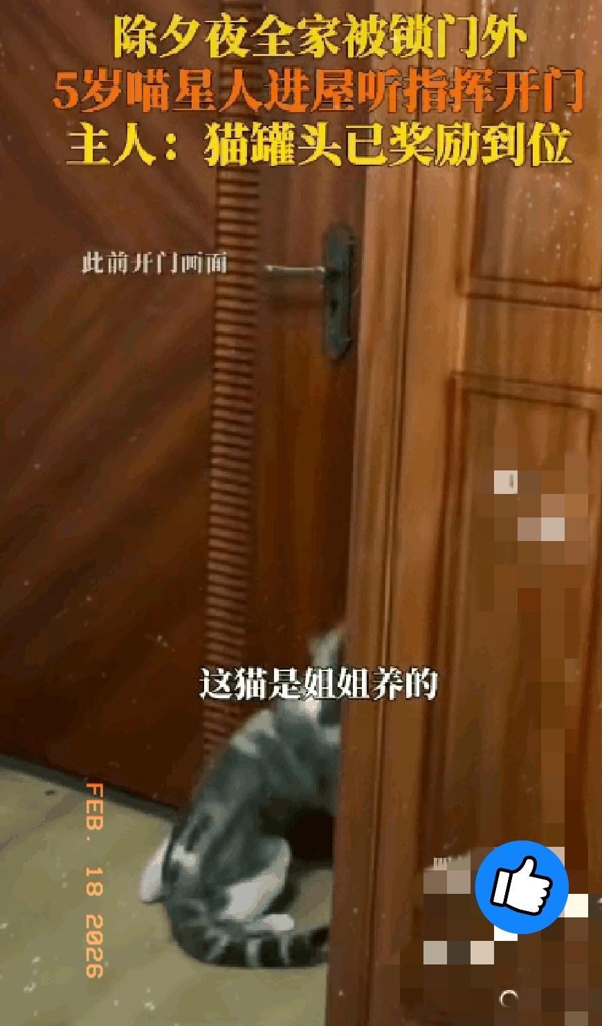 “立大功了！”湖北一女子全家人除夕出门吃饭，半路想起来有东西忘带了，折返后，不料