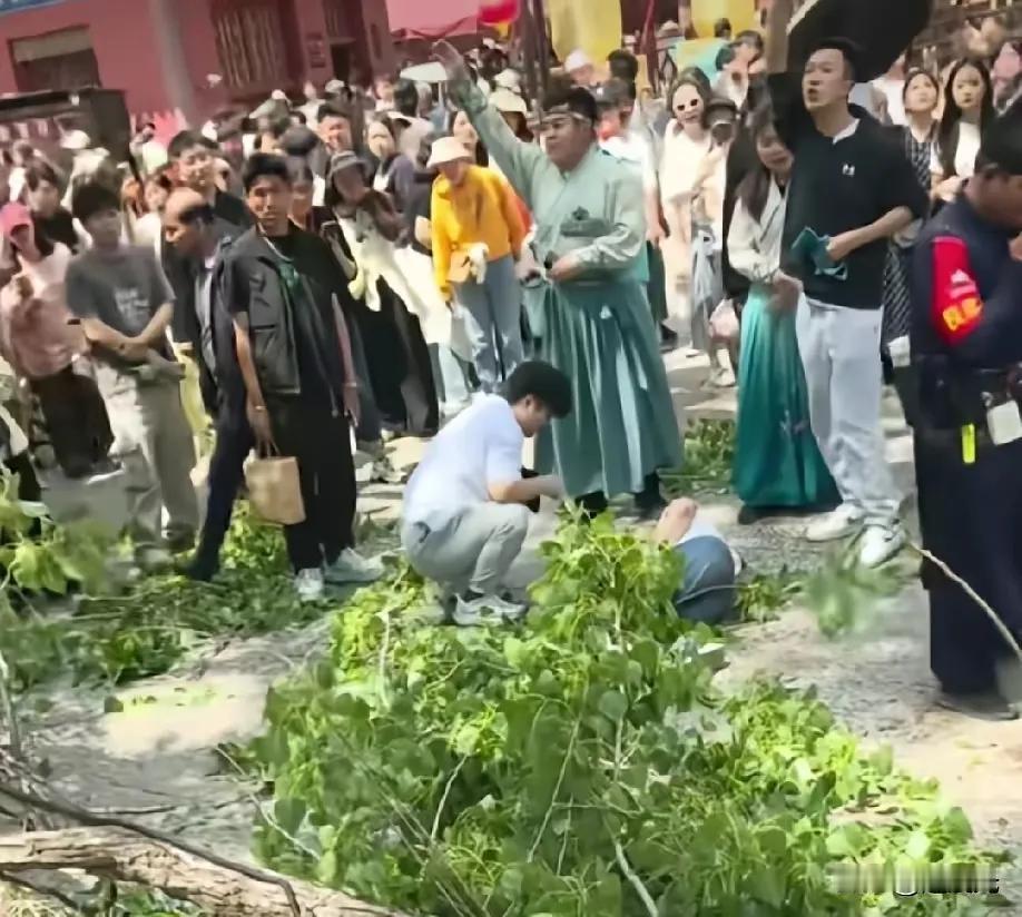 万岁山的树怎么还能砸到人呢？马上五一劳动节了，景区好不好看无所谓，关键得保证游客