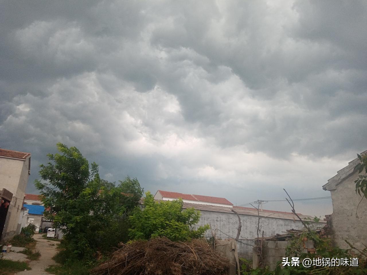 老人常说
秋涝不秋涝，六月二十有预兆
六月二十动了流，秋后拉断井水绳
六月二十日