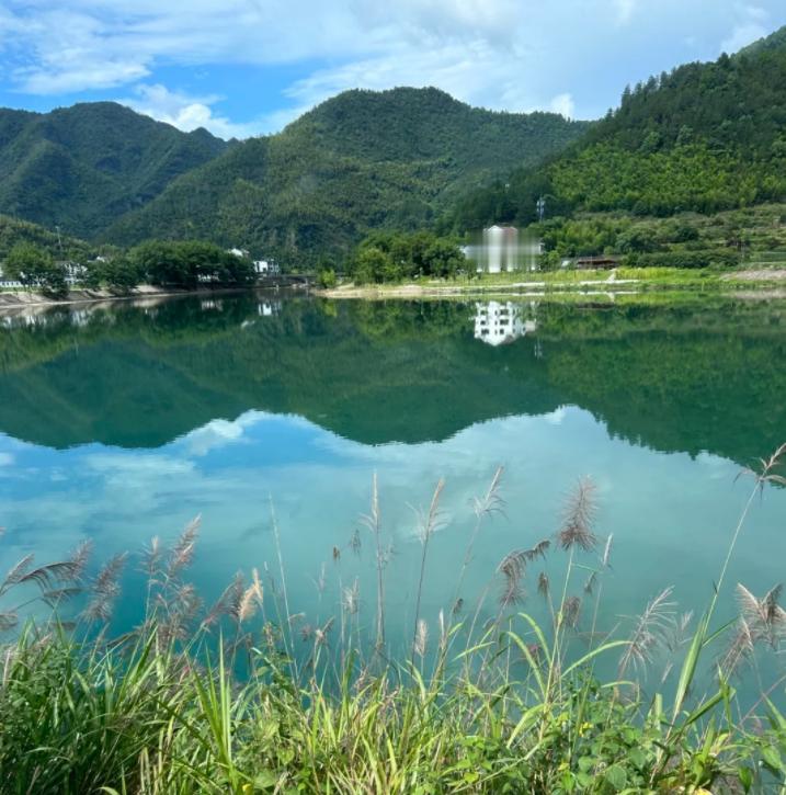 父亲弃女选胚胎，女儿反手考上一本
亲爱的朋友们大家好，我是海林小百科，今天我们来