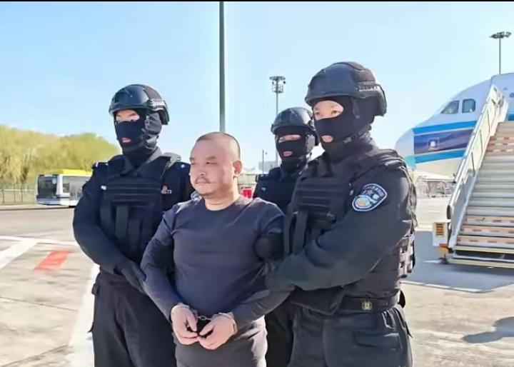 大快人心！
就在刚刚，据中国央视新闻报道：星期三（4月1日），在柬埔寨有关部门大