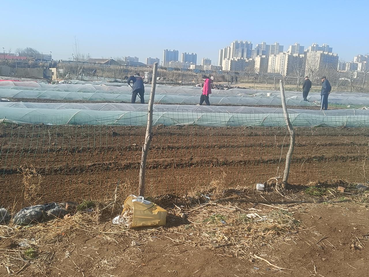 有退休金的也许说种花好，闲不住的庄稼人说种菜更好。

　　老话说：“瓜菜半年粮。