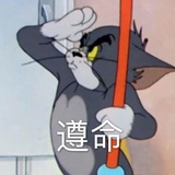 小鸽爱说汽车