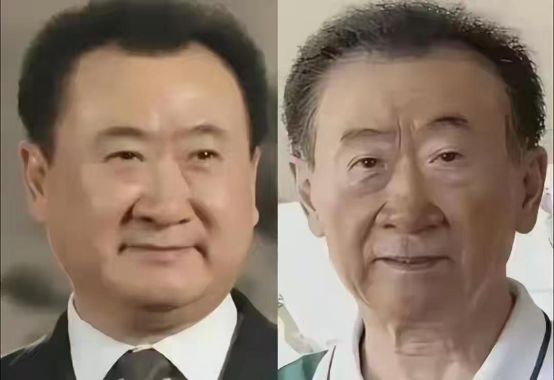 曾经喊出“先赚一个亿”小目标的王健林，如今72岁却被逼到崩溃边缘。截至今年4月，