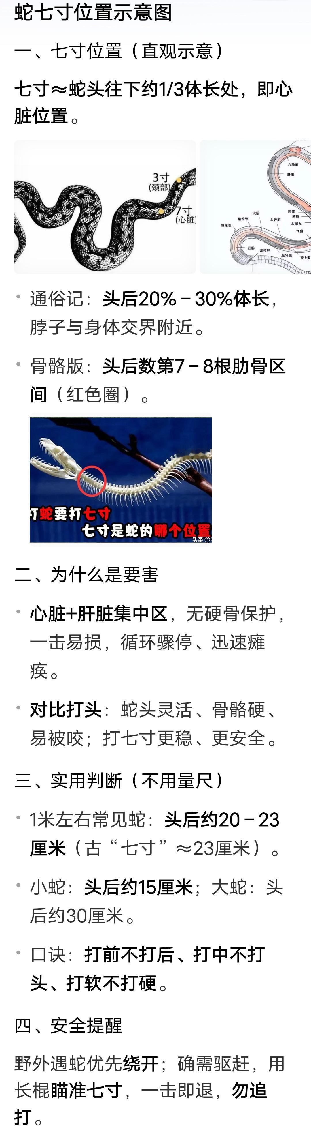 打蛇打七寸
