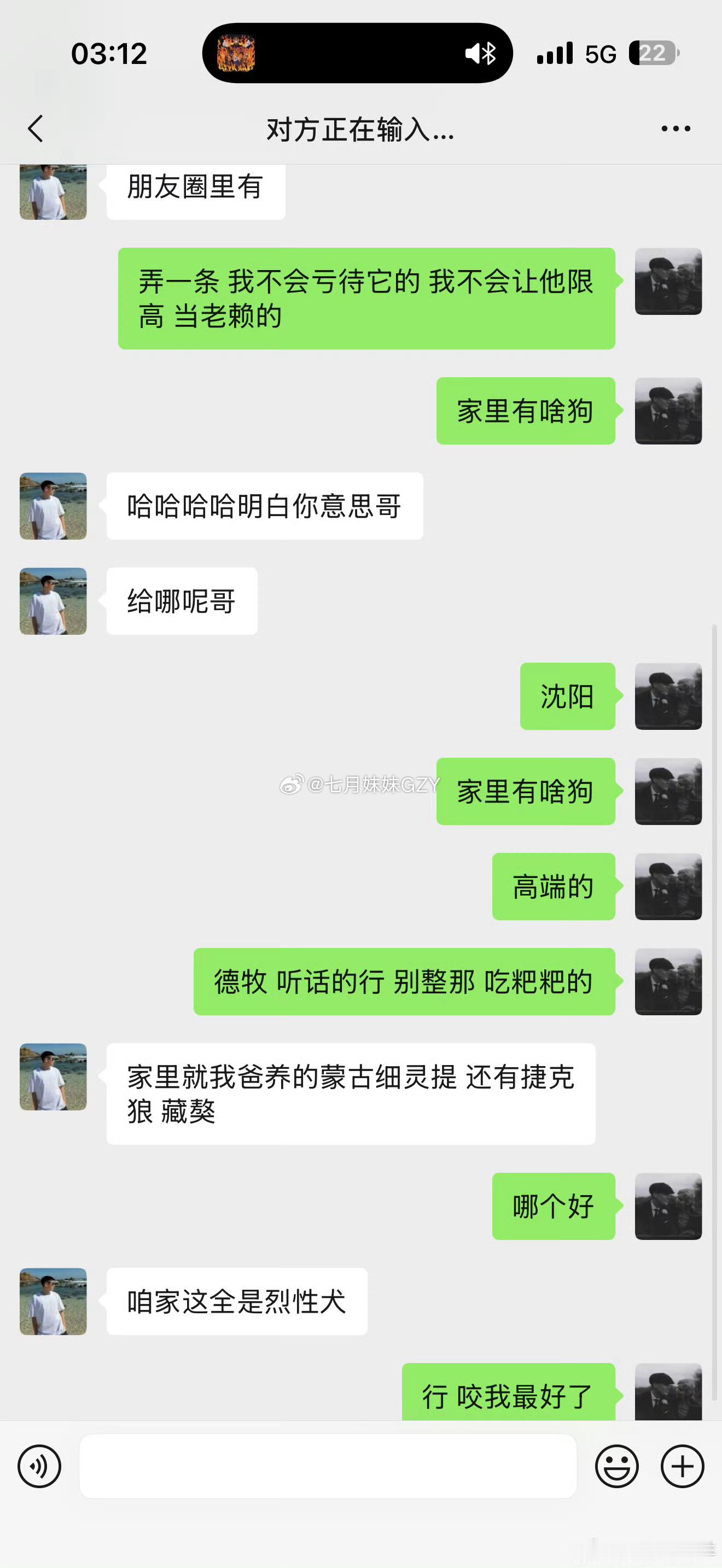 仙洋把战场转向微博，开始举报二子爷黑恶势力，还买了一只狗准备取名二子狗！ ​​​