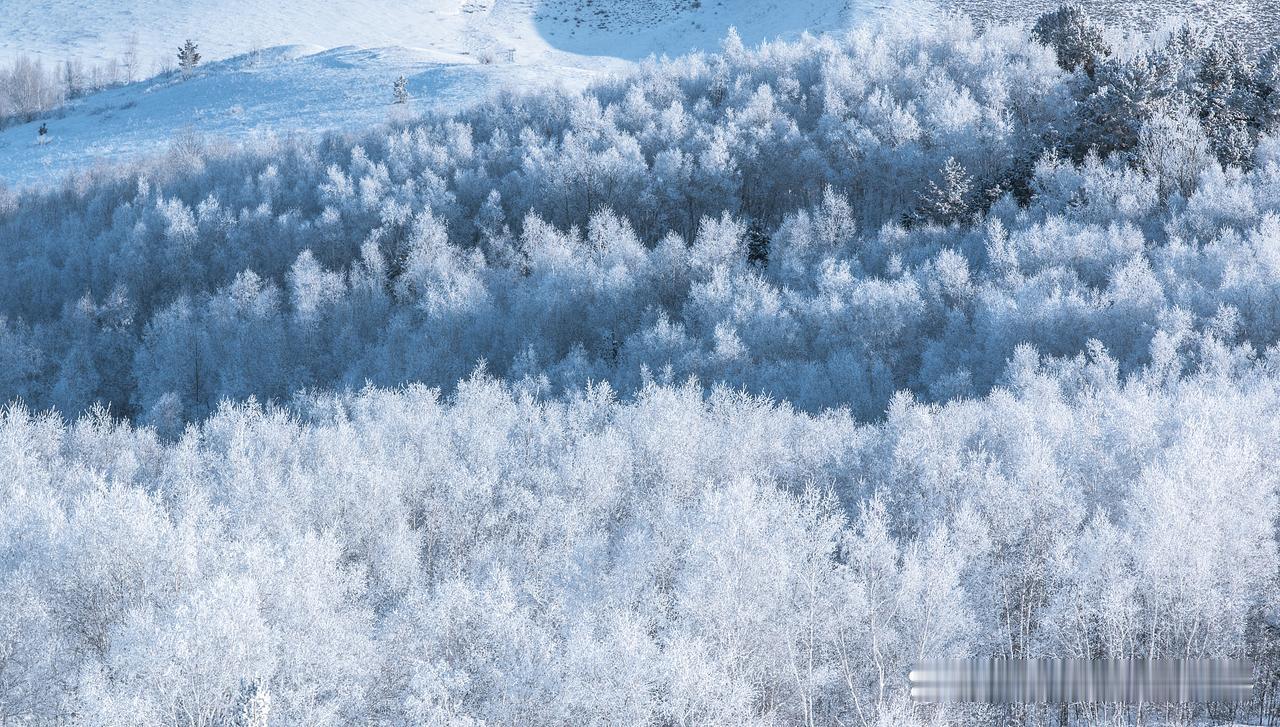你见过能堆出半人高雪人的雪吗？东北的雪就这么豪横！为啥别的地方的雪要么一踩就化，