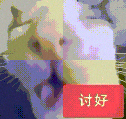 我俩无厘头对话🐶“我到家了”👧“我在哪 哪才是家（小猫表情包）”🐶“好嘟 