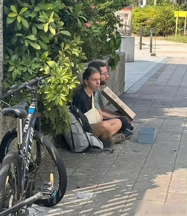 我怀疑 他们是骗不到中国人的 