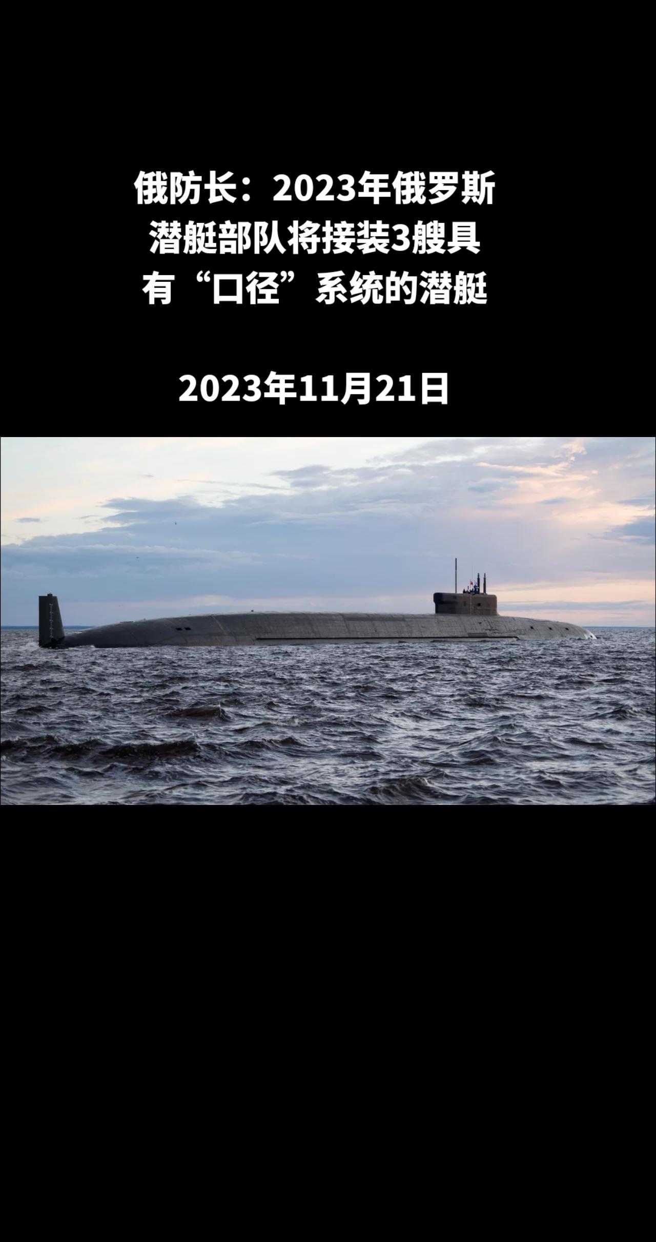 俄罗斯卫星通讯社莫斯科11月21日电 俄罗斯国防部长绍伊古表示，2023年俄罗斯