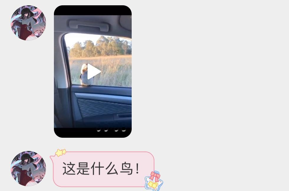 坐升降电梯的笑翠鸟感受下它魔性的叫声👉🏻 ​​​