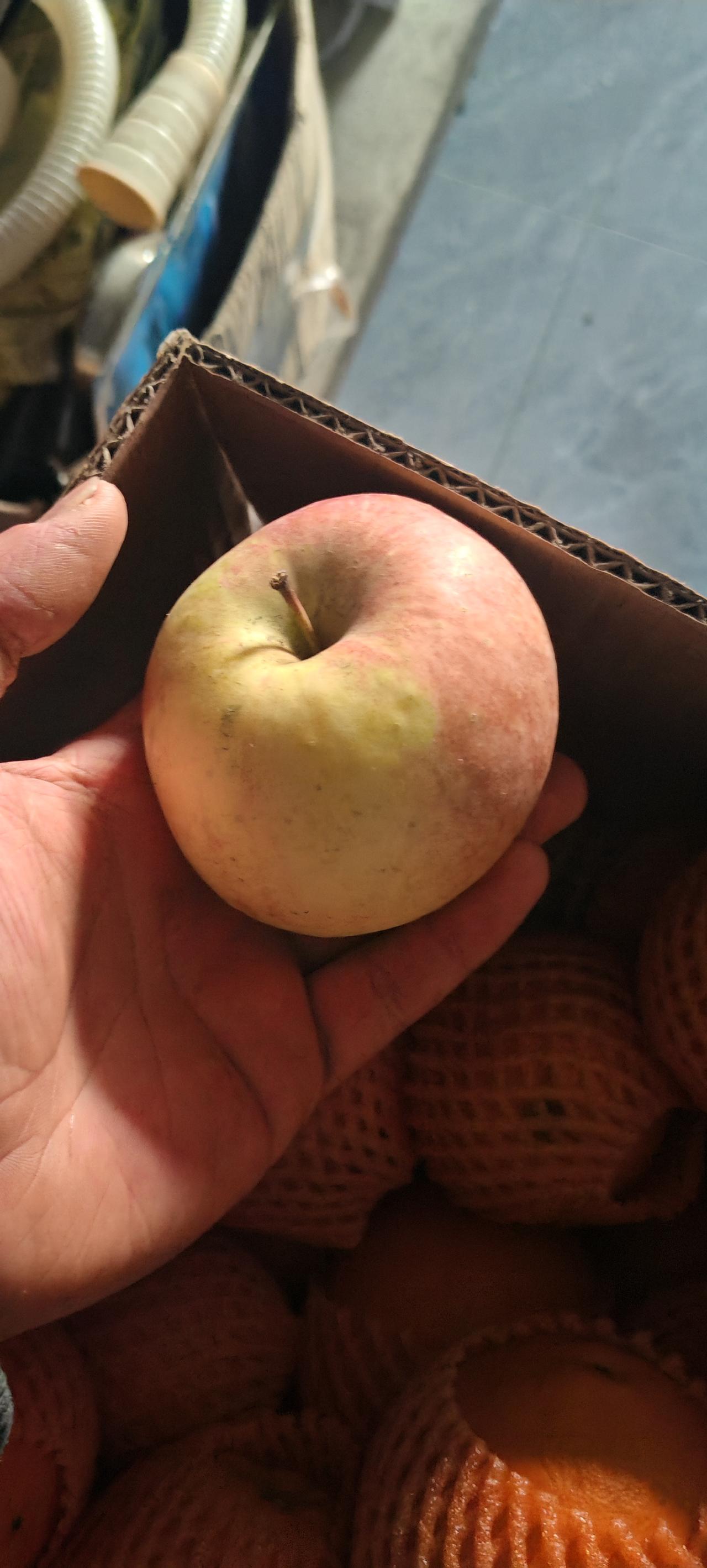 冬日生活打卡季