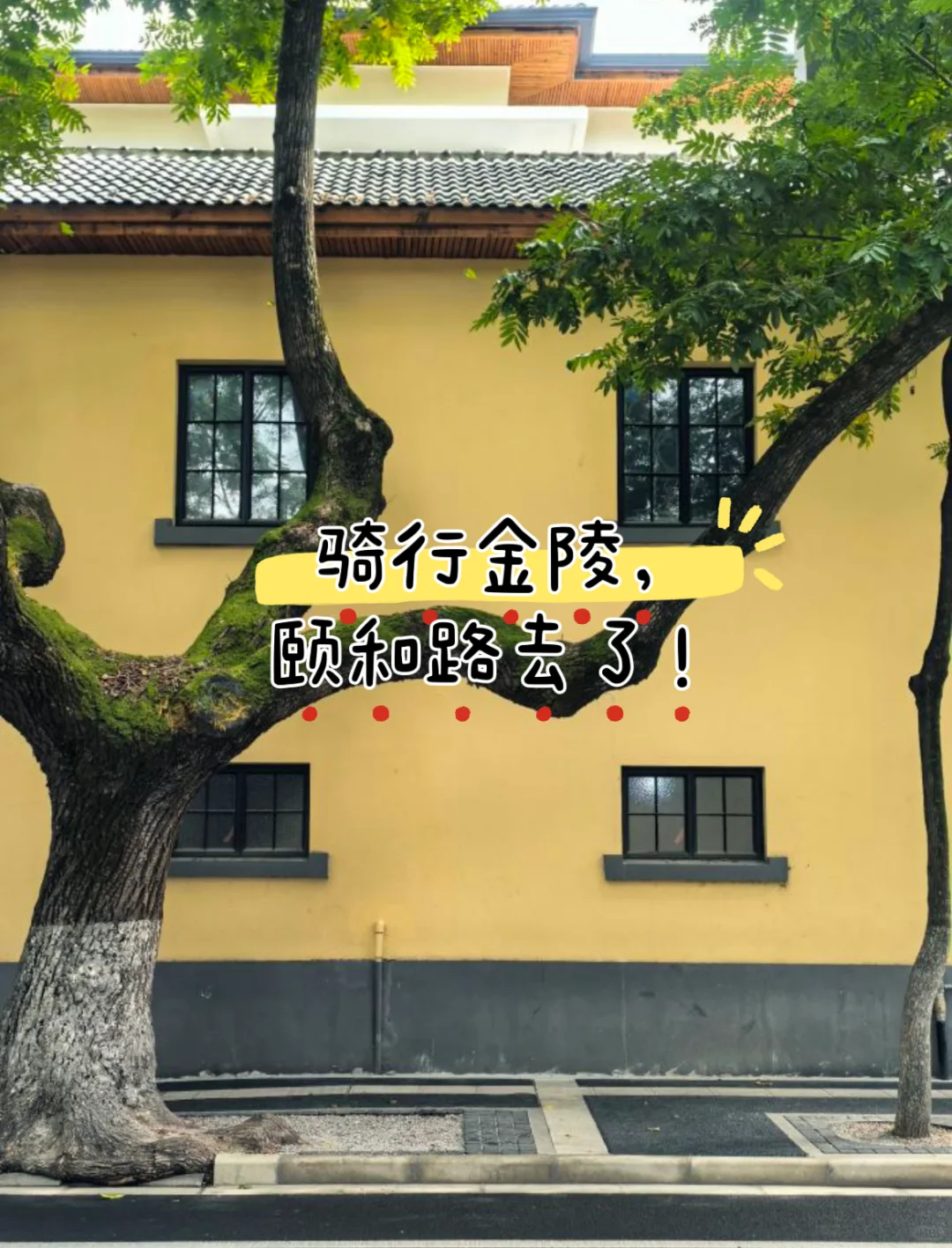 来南京旅游的正确出行方式🔥🔥🔥