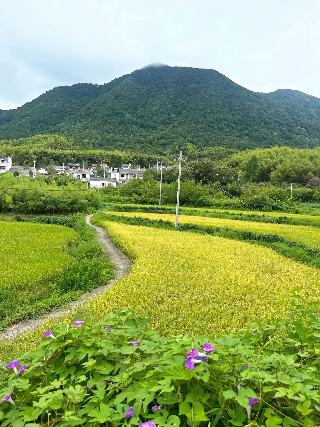 你现在回想起来，仍会觉得不可思议。曾经，加拿大是如此亲美，而如今，却对美国厌恶至