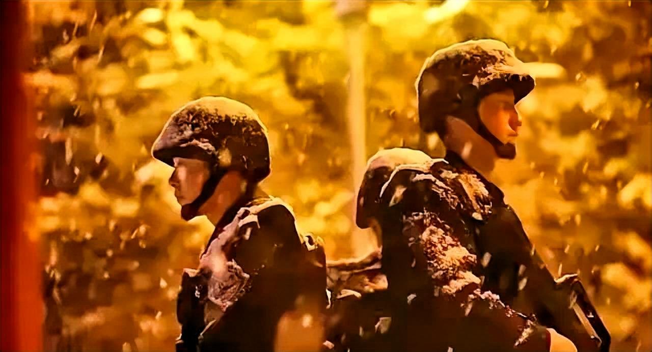 我不担心中国能打败日本，担心的是打败日本之后，中国又开始发善心了！
 
这句话听