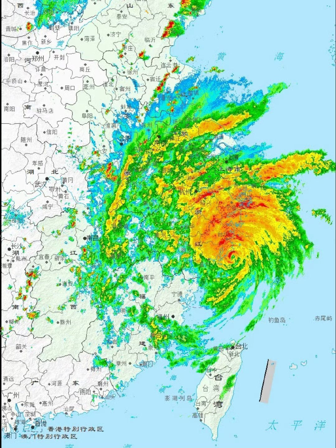 低估了白海豚敬畏自然大家平安 丽水