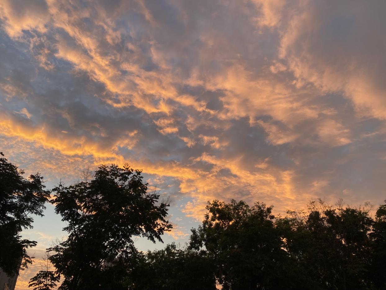 我的今日状态：😁轻松愉快
我这里的天气：☀️晴天