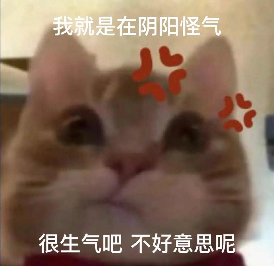 表情包  歪嘴小猫的阴阳怪气名场面：没人比我更凶！我就是在阴阳怪气~气到头顶冒火
