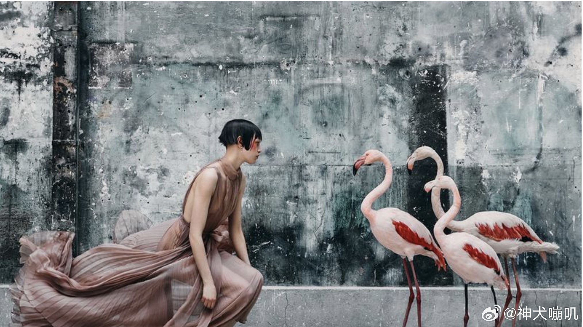 大模特 美人和鸟鸟  'The Bird Cage X Dior' with L