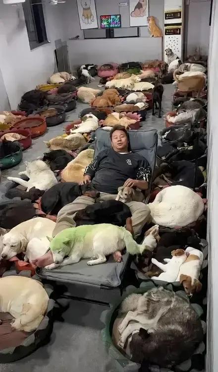 哥们儿这富炫得……我居然无法反驳！