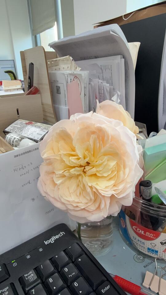 自从感冒好了后是不是打喷嚏 这是啥问题啊