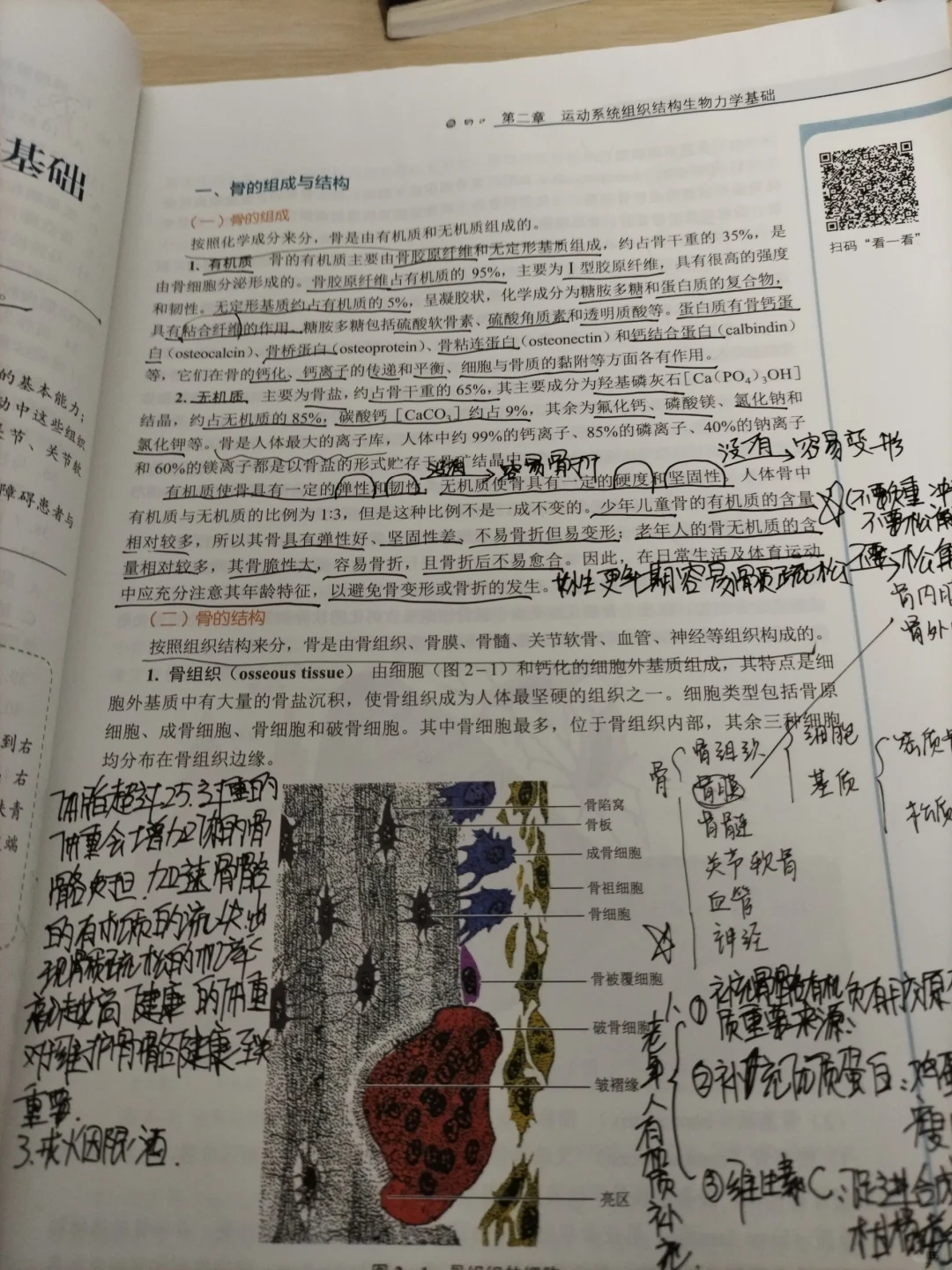 给你的减肥再增加一条理由