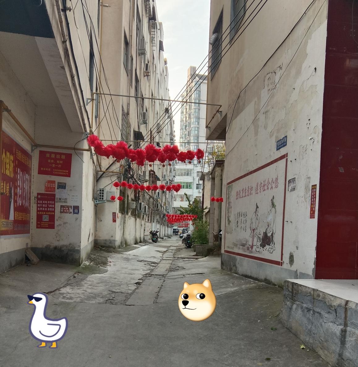 这条小巷很窄，两旁是老旧的居民楼，墙皮都有些剥落了。巷子顶上拉着不少电线，还挂着