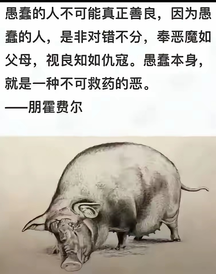 今日金句 ​​​
