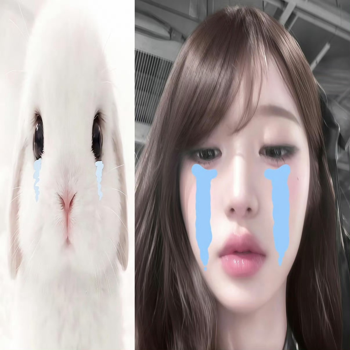 无论发生什么 我都会站在她身边 因为我太清楚她是什么样的小女孩了