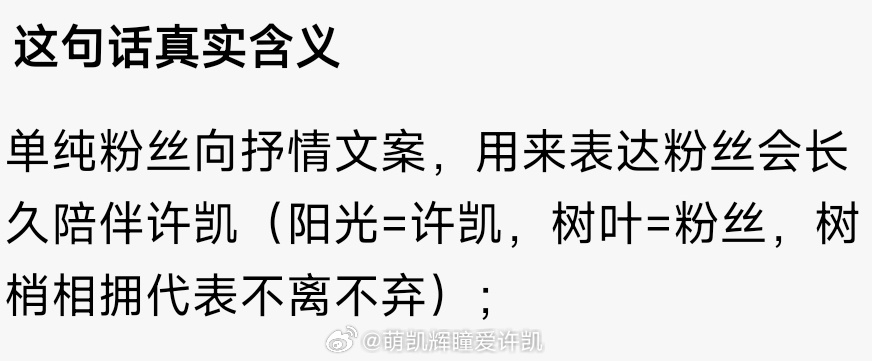 “阳光不走远，树梢紧紧拥抱着树叶。 ”许凯发这句话的含义？ 