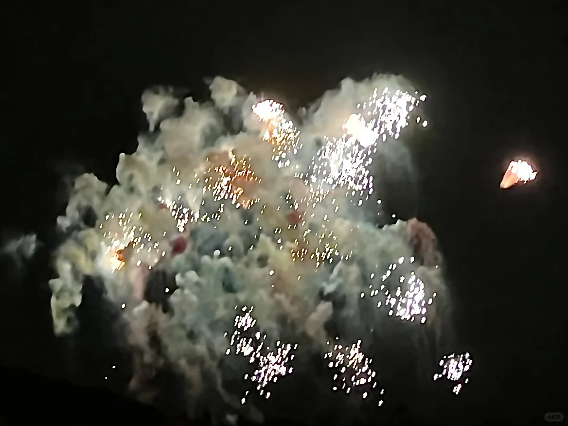 🎆