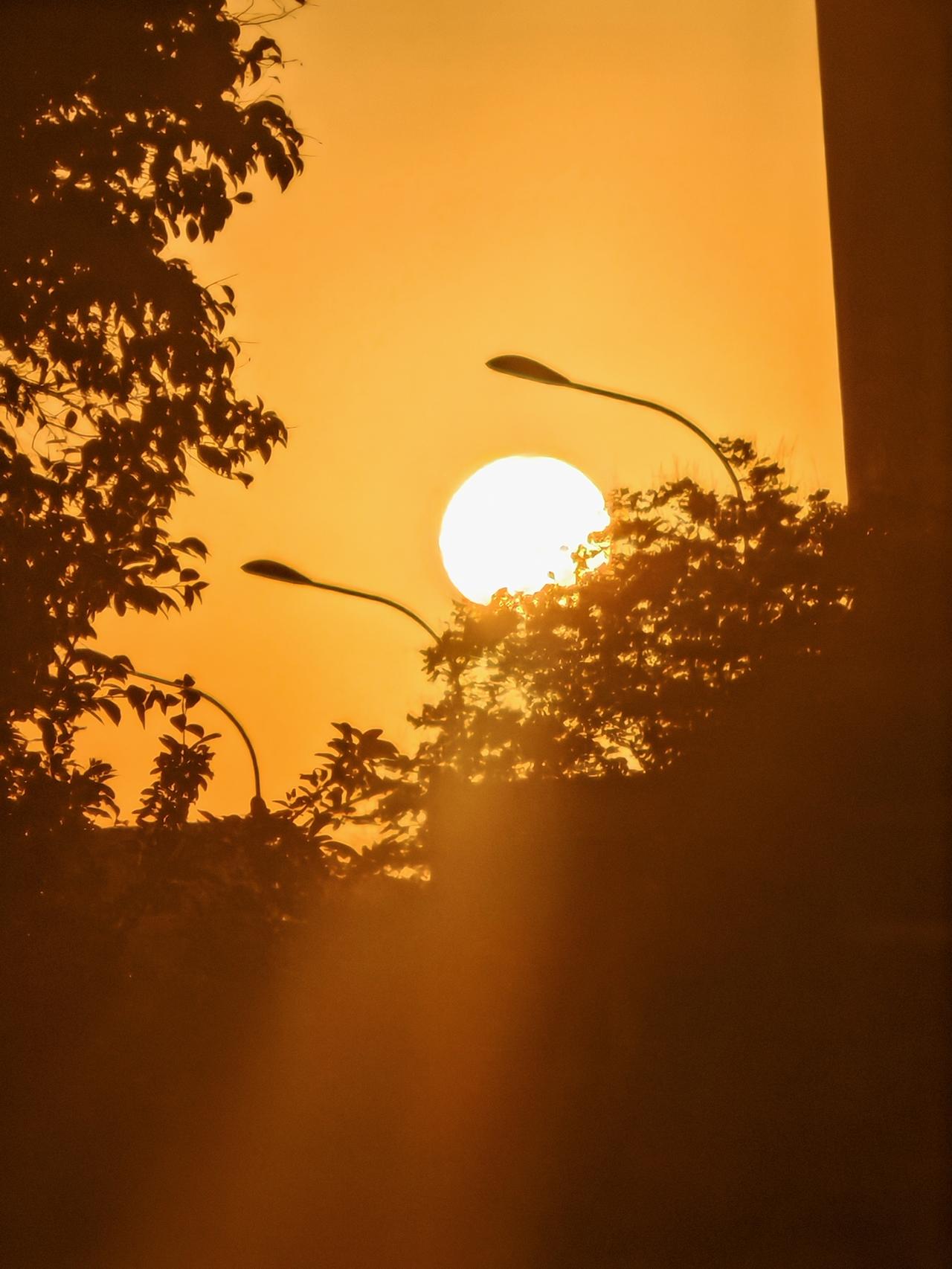 夏天的味道