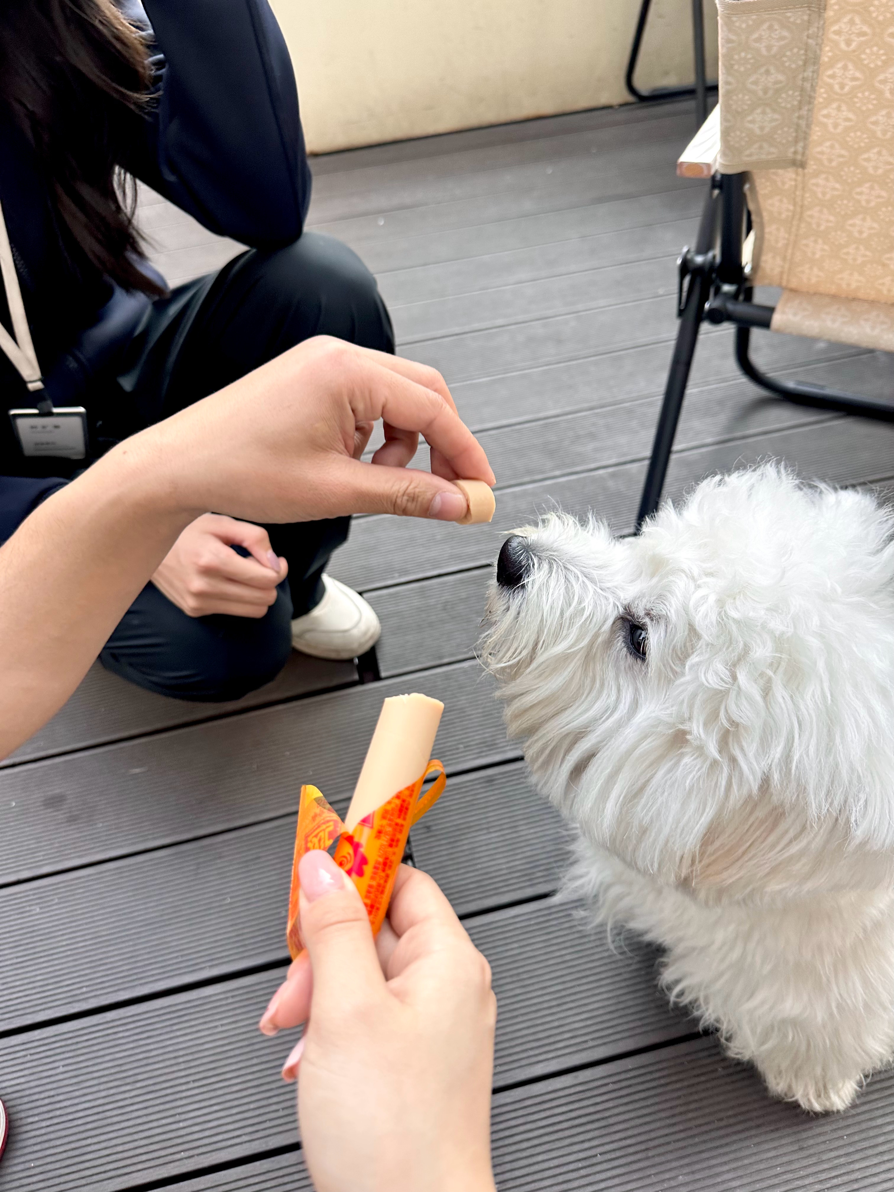 又和乖宝宝见面啦！！！