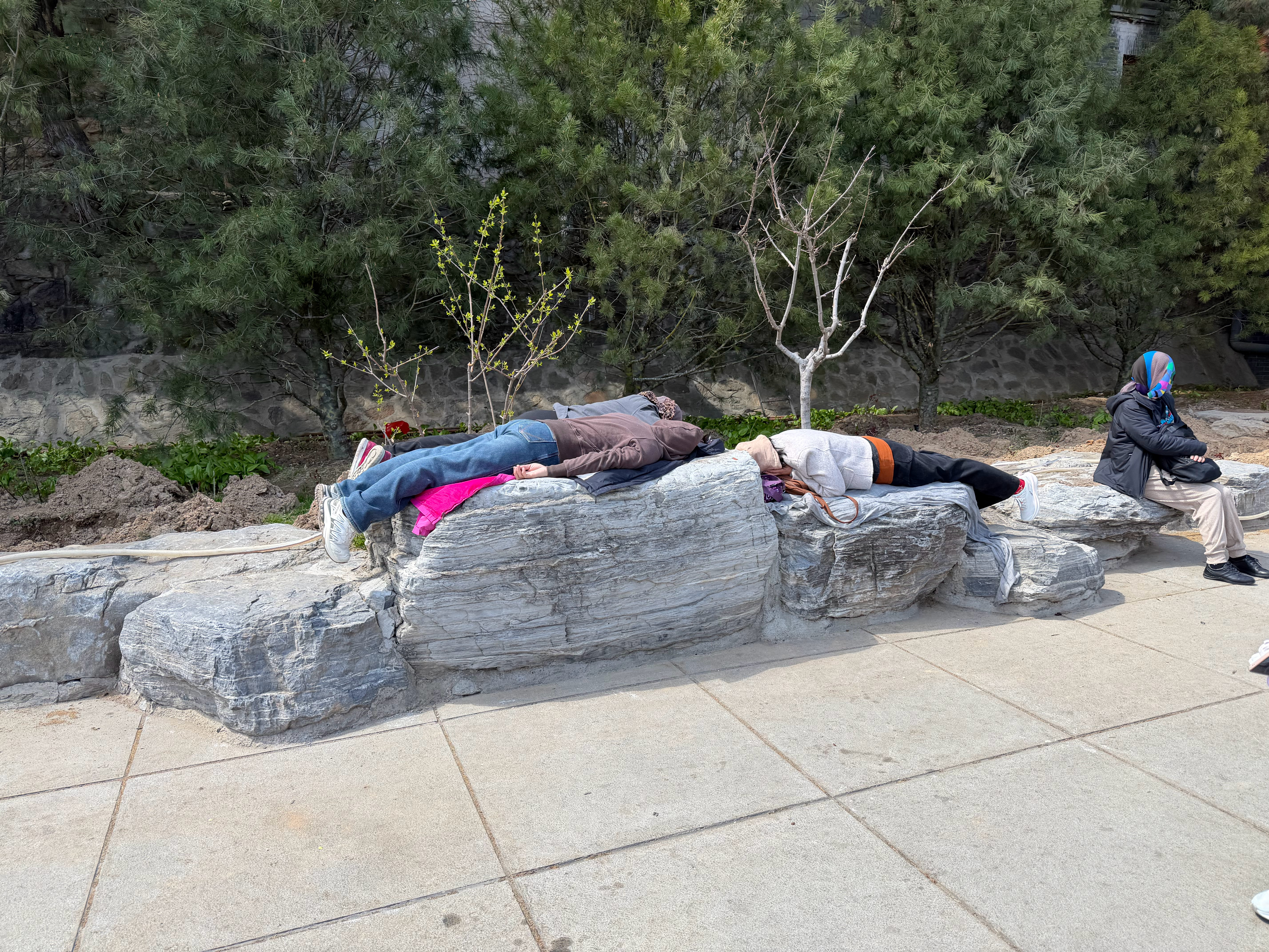 这是什么新型的睡觉方式？在公园看到的 北京·八大处公园