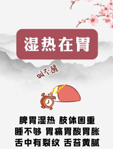 湿热分 4 处：胃、肝、肠、膀胱，对照自查