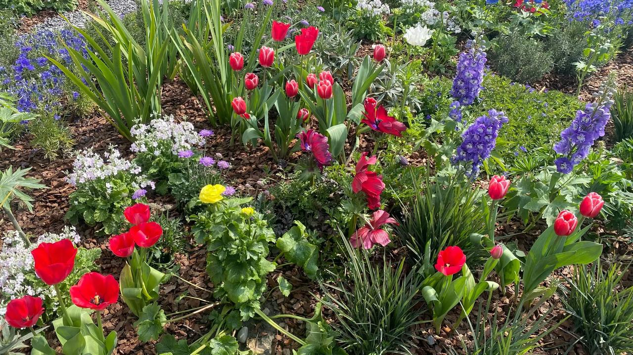 分享你手机里的花花草草各色花在日光里肆意舒展，红的热烈、紫的幽邃、白的清透，像把